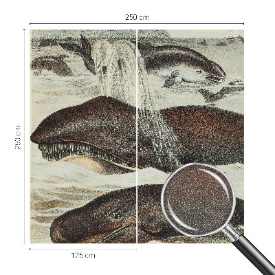 Zelfklevend fotobehang op maat Zeedieren