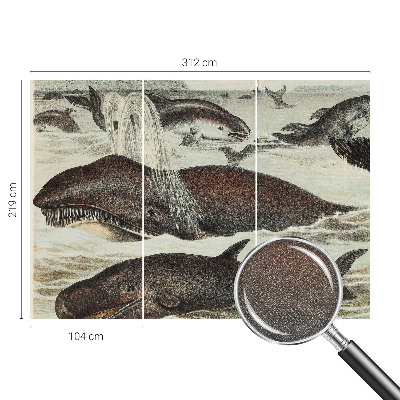 Zelfklevend fotobehang op maat Zeedieren