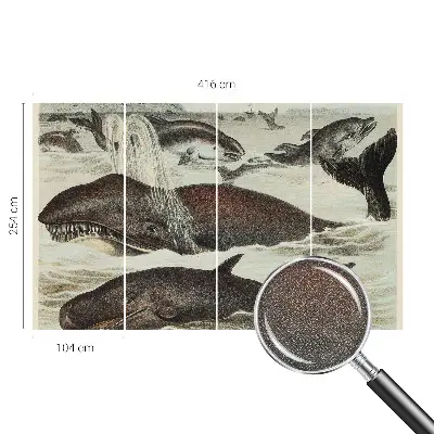 Zelfklevend fotobehang op maat met een ontwerp van zeedieren