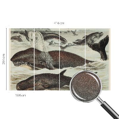 Zelfklevend fotobehang op maat Zeedieren