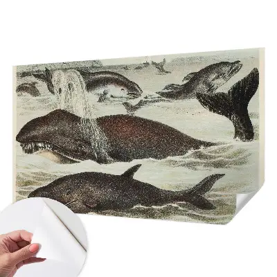 Zelfklevend fotobehang op maat met een ontwerp van zeedieren