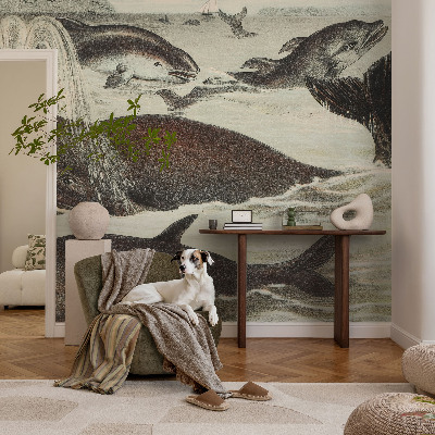 Zelfklevend fotobehang op maat Zeedieren