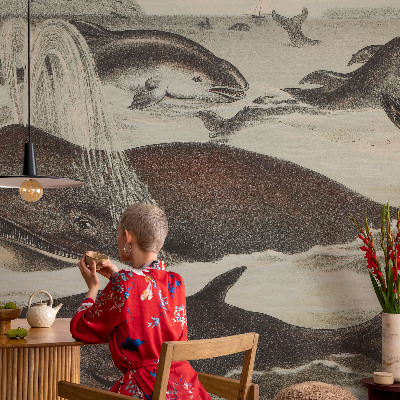 Zelfklevend fotobehang op maat Zeedieren
