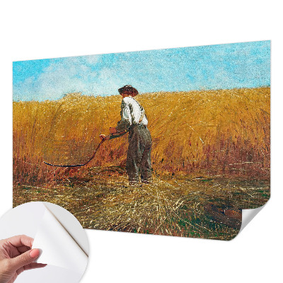 Fotobehang voor de kinderkamer met het motief 'Oogst in de zon'