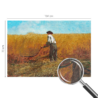 Fotobehang voor de kinderkamer Oogst in de zon