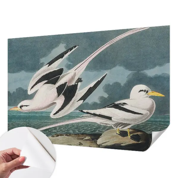Fotobehang babykamer met een dessin van vogels aan zee