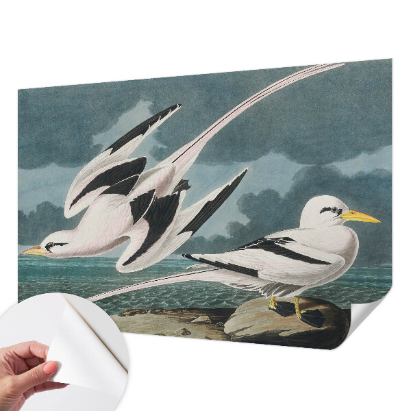 Fotobehang babykamer Vogels aan zee