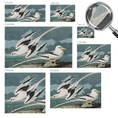 Fotobehang babykamer met een dessin van vogels aan zee