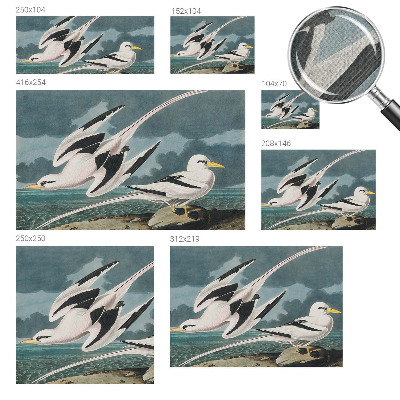 Fotobehang babykamer Vogels aan zee
