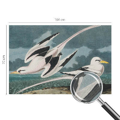 Fotobehang babykamer Vogels aan zee