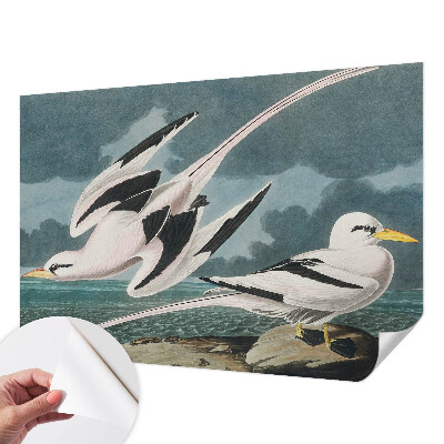 Fotobehang babykamer Vogels aan zee