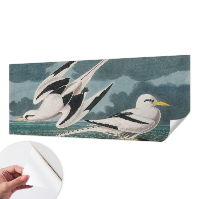 Fotobehang babykamer Vogels aan zee