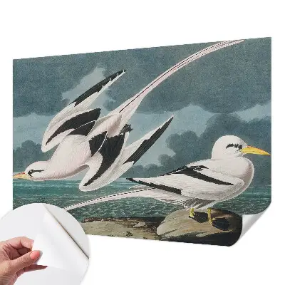 Fotobehang babykamer met een dessin van vogels aan zee