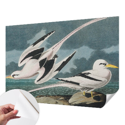 Fotobehang babykamer Vogels aan zee
