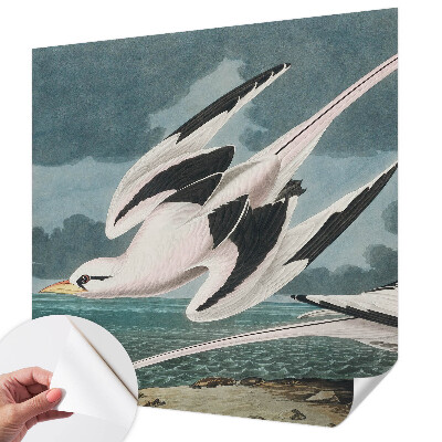 Fotobehang babykamer Vogels aan zee
