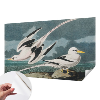 Fotobehang babykamer Vogels aan zee