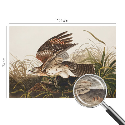 Fotobehang tienerkamer Gevleugelde Schoonheid