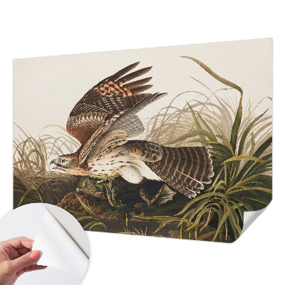 Fotobehang tienerkamer met een ontwerp van gevleugelde schoonheid