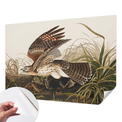 Fotobehang tienerkamer Gevleugelde Schoonheid