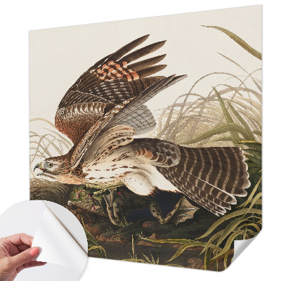 Fotobehang tienerkamer Gevleugelde Schoonheid