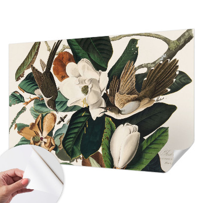 Foto behang voor de keuken Vogels magnolia's