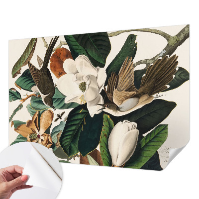 Foto behang voor de keuken Vogels magnolia's