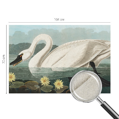 Zelfklevend fotobehang met afbeelding van een zwaan tussen waterlelies
