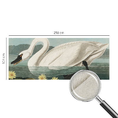 Zelfklevend fotobehang met afbeelding van een zwaan tussen waterlelies