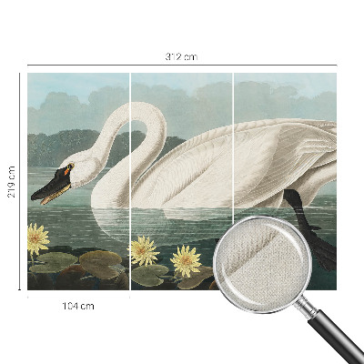Zelfklevend fotobehang met afbeelding van een zwaan tussen waterlelies