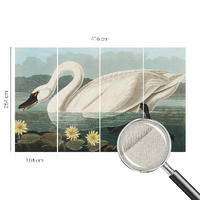 Zelfklevend fotobehang met afbeelding van een zwaan tussen waterlelies