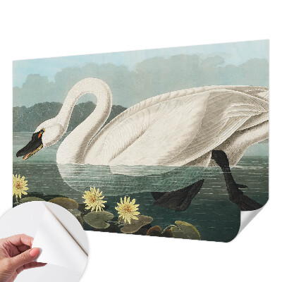 Zelfklevend fotobehang met afbeelding van een zwaan tussen waterlelies