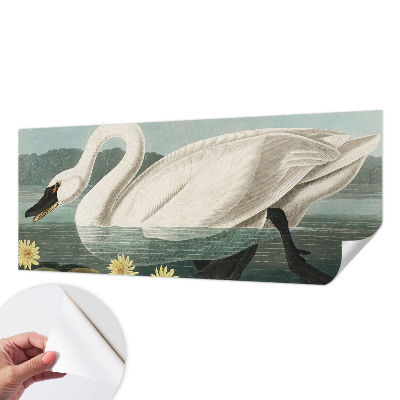Zelfklevend fotobehang met afbeelding van een zwaan tussen waterlelies