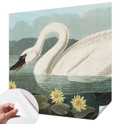 Zelfklevend fotobehang met afbeelding van een zwaan tussen waterlelies
