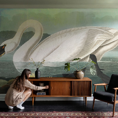 Zelfklevend fotobehang met afbeelding van een zwaan tussen waterlelies