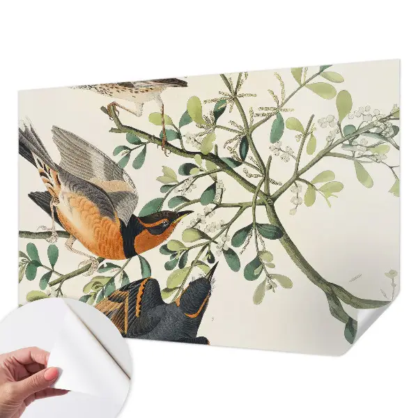 Fotobehang zelfklevend met een kleurrijk vogelmotief
