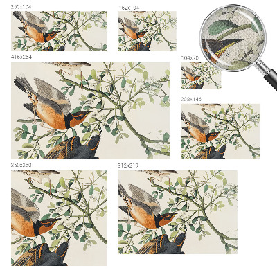 Fotobehang zelfklevend Kleurrijke vogels