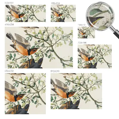 Fotobehang zelfklevend met een kleurrijk vogelmotief