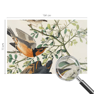 Fotobehang zelfklevend Kleurrijke vogels