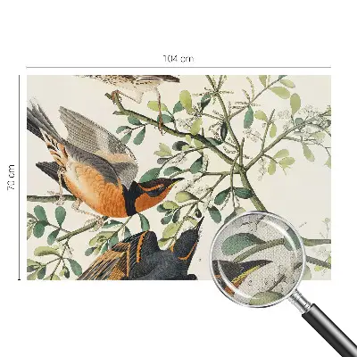 Fotobehang zelfklevend met een kleurrijk vogelmotief