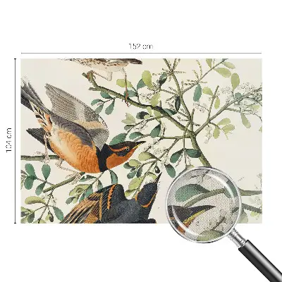 Fotobehang zelfklevend met een kleurrijk vogelmotief