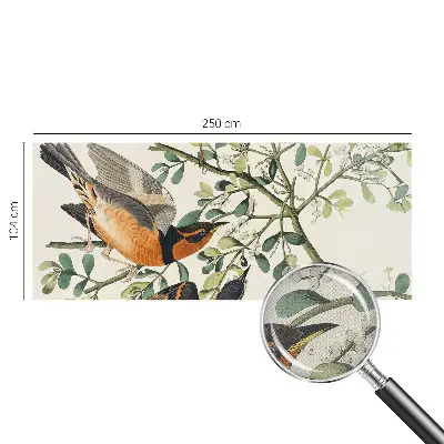 Fotobehang zelfklevend met een kleurrijk vogelmotief