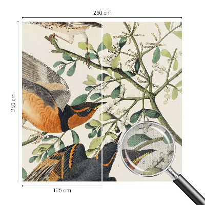 Fotobehang zelfklevend Kleurrijke vogels