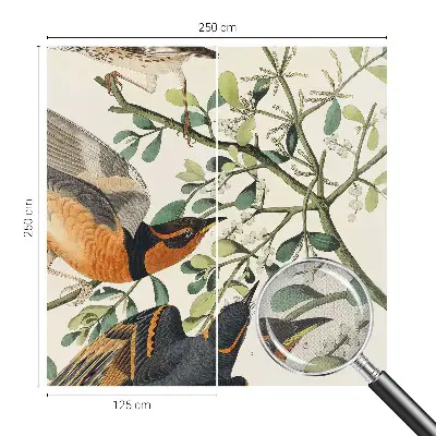 Fotobehang zelfklevend met een kleurrijk vogelmotief
