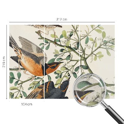 Fotobehang zelfklevend Kleurrijke vogels