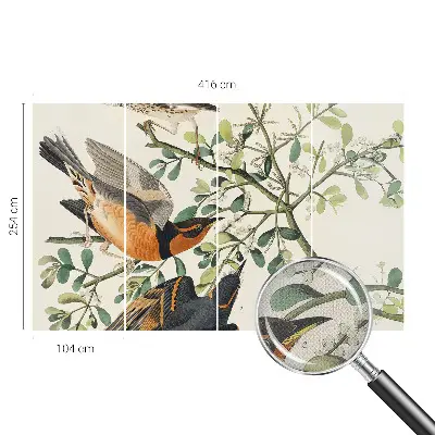 Fotobehang zelfklevend met een kleurrijk vogelmotief