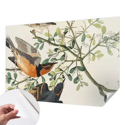 Fotobehang zelfklevend met een kleurrijk vogelmotief
