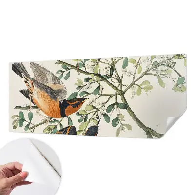 Fotobehang zelfklevend met een kleurrijk vogelmotief