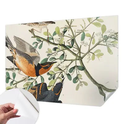 Fotobehang zelfklevend met een kleurrijk vogelmotief