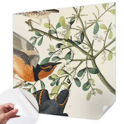 Fotobehang zelfklevend met een kleurrijk vogelmotief
