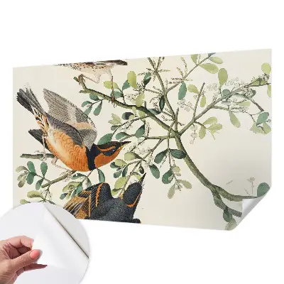 Fotobehang zelfklevend met een kleurrijk vogelmotief